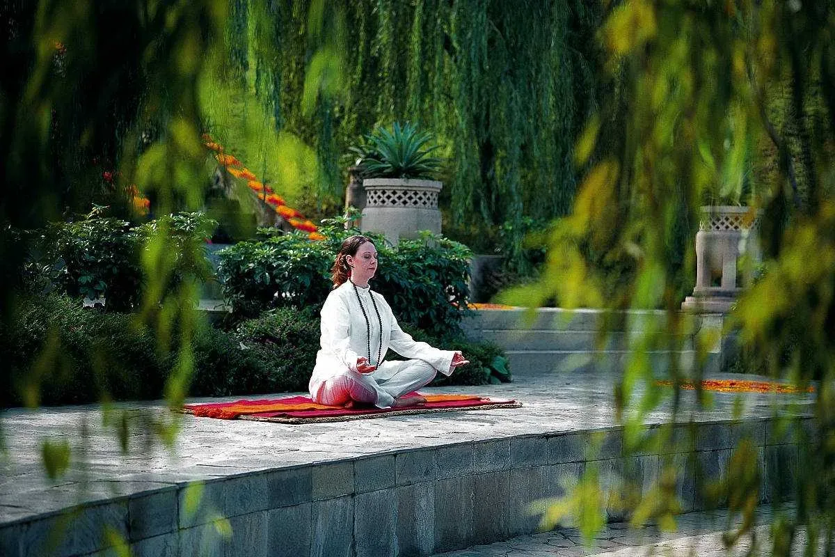 Ananda in the Himalayas