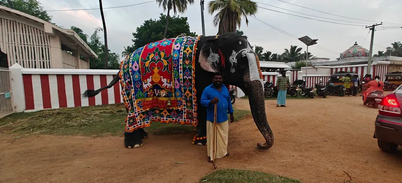 A temple elephant draped in colourful ceremonial cloth stands with its mahout outside a Tamil Nadu temple