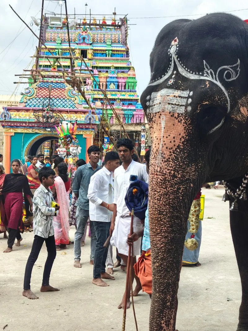 A temple elephant stands adorned before the gopuram, ready for morning worship