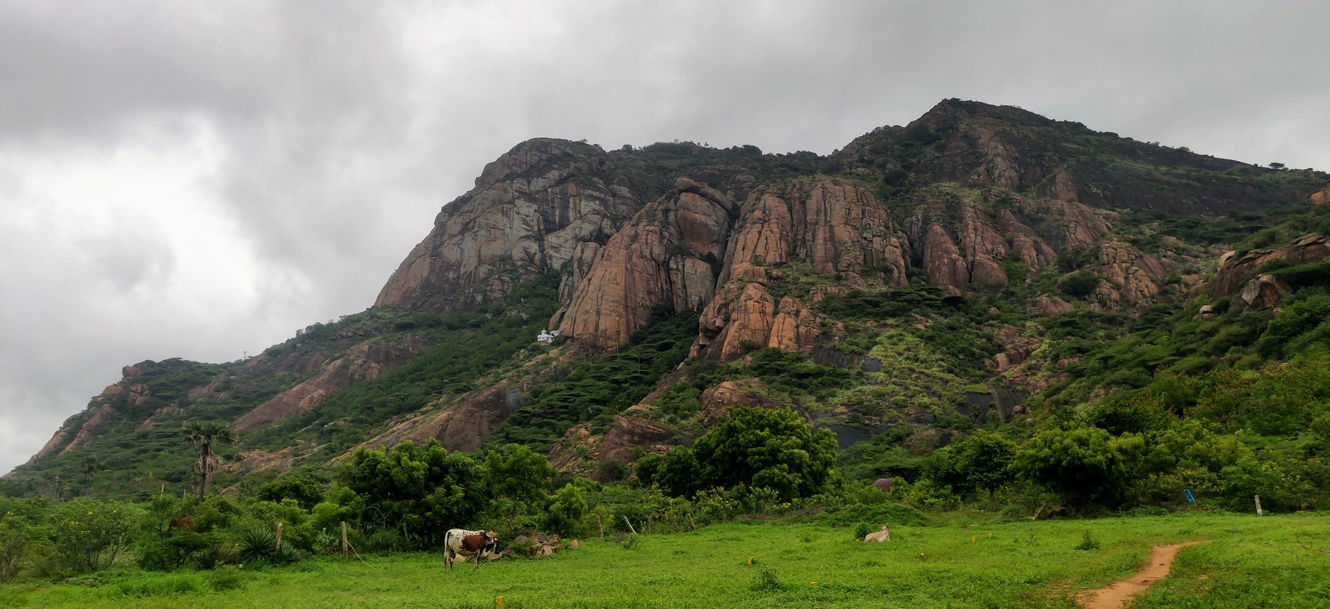 Marunthuvazh Malai — the rugged granite hill rising at the tip of India, with cattle grazing in the lush green meadow below — Photo: Sabin, sabinv.com